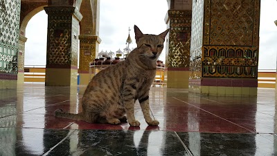 Photos of Mandalay Hill