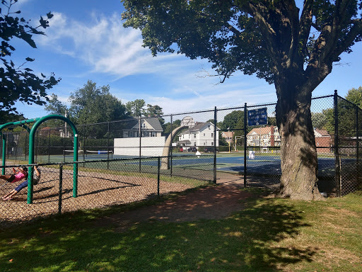 Town Field - Visual