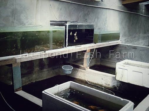 Jatipond Fish, Author: Jatipond Fish farm