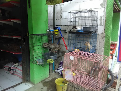 Petshop Rumah Kucing Cadas, Author: Petshop Rumah Kucing Cadas