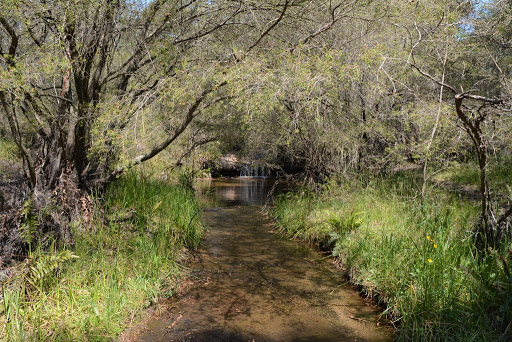 Minnehaha Reserve Carpark - Thumbnail