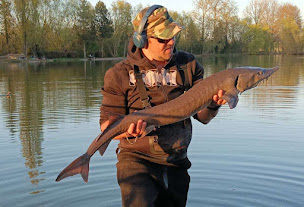 Photo n°35 de CAMPING LA HERELLE à Miraumont (Terrain de camping)