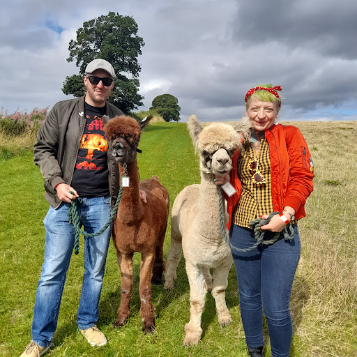 Charnwood Forest Alpacas - Thumbnail