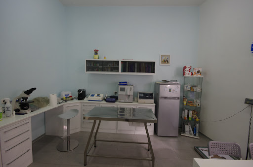 ANIMALVET - Thumbnail