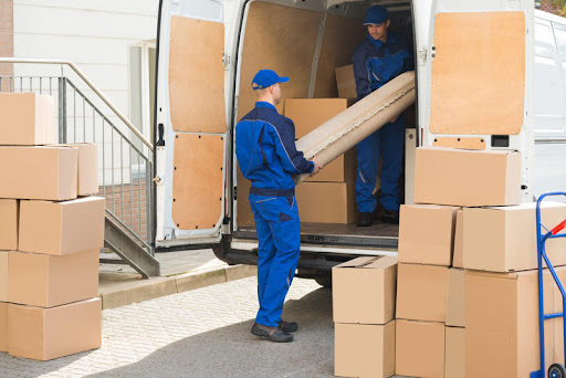 Honeydo Movers - Visual