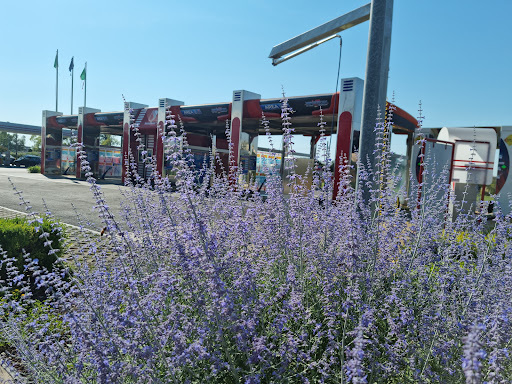 Biessecarburanti - Visual