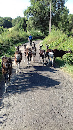 Photo n°16 de Ferme de Bêcheron à Azé (Fabricant de fromage)