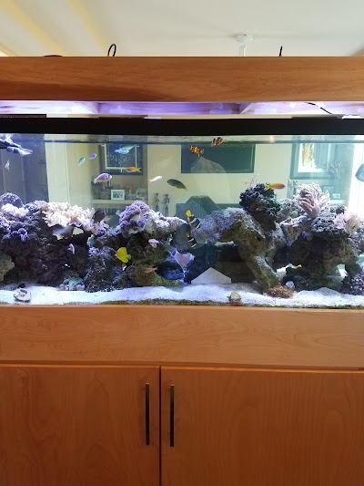 Sailfin Pet Shop