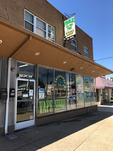 Frolic - Visual