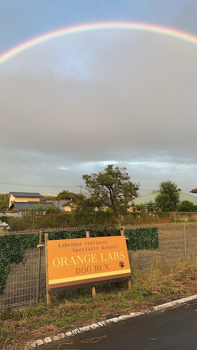 オレンジラブズ