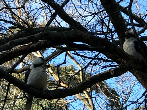 Hammock Hill Reserve - Thumbnail