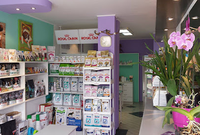 Ветмедикус