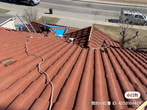 Focus Roofing LTD - Visual