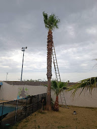 Photo n°11 de AQJ Multi-Services à Canohès (Jardinier)