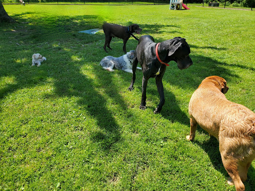 Creature Comforts Pet Resort - Thumbnail