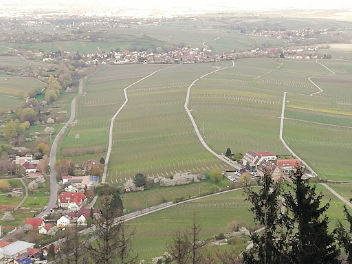 Rastplatz Vorderpfalzblick