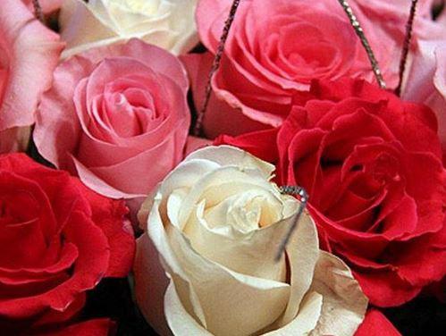 L'Atelier Nature - Fleuriste