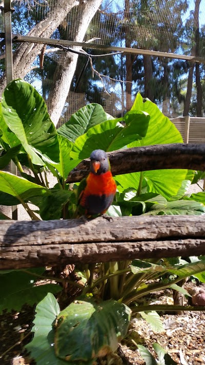 Photos of Peel Zoo