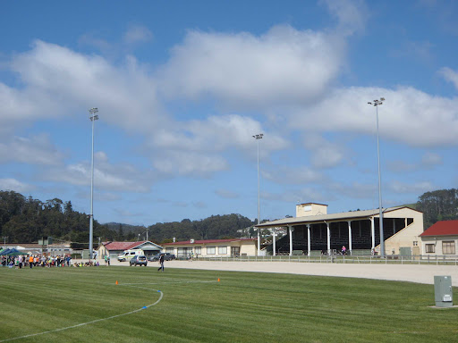 Burnie Harness Racing Club - Thumbnail