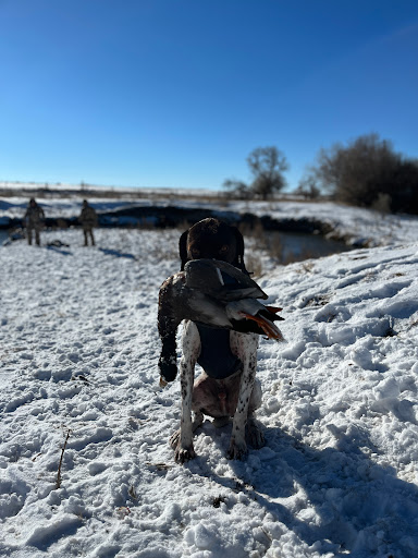 Flatlander Kennels