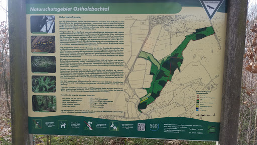 Ostholzbachtal - Thumbnail