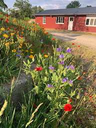 Photo n°1 de SAS La Vache Heureuse à Rives d'Andaine (Conseil)