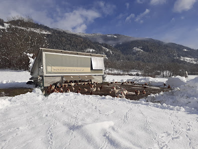 Biohof Thomanbauer, Fam.Kohlmaier Göriach 3, 9812 Göriach, Österreich