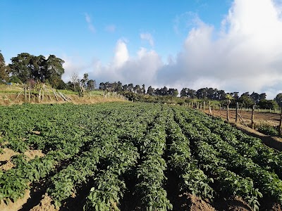 Photos of Agroservicios El Volc&aacute;n