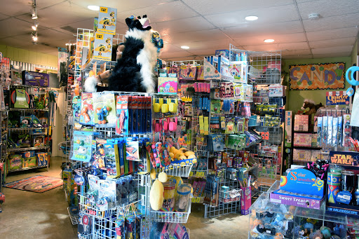 Toy Place Downtown