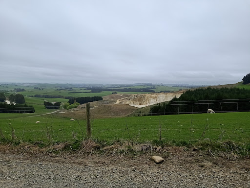 Whale Fossil Lookout