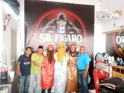 Señor Figaro - Visual