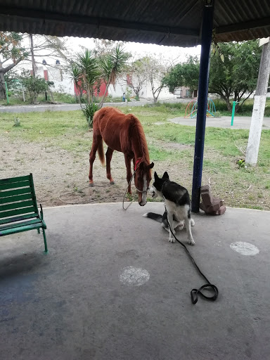 Parque Laguna Ilusión - Thumbnail