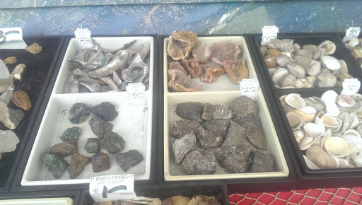 Tortuga Trading Co - Thumbnail