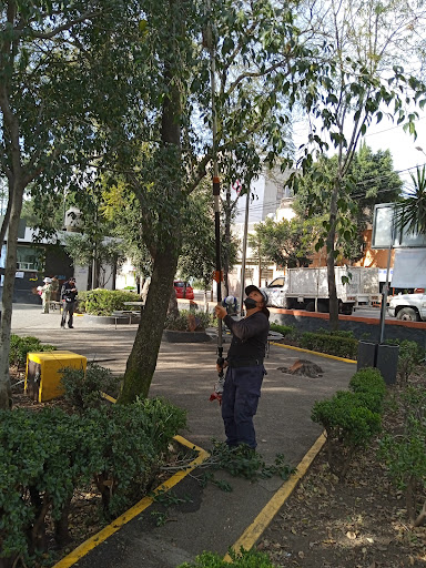 Molino de Rosas Park - Thumbnail