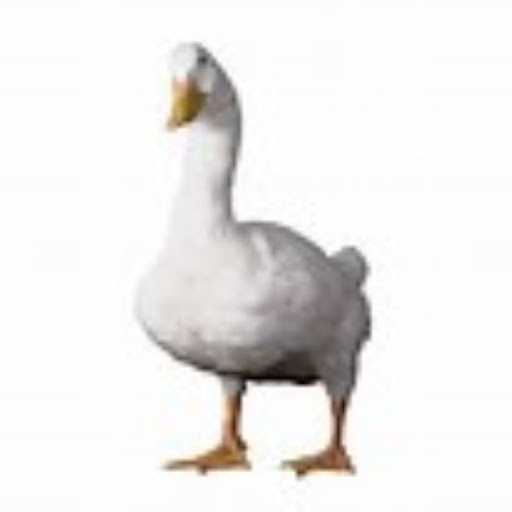 AFLAC Independent Agent Special Projects Coordinator