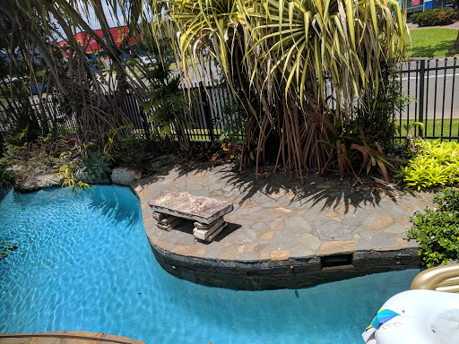 Placid Pools - Visual