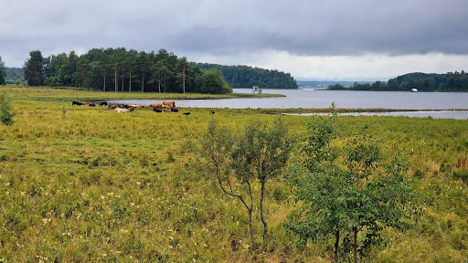 Birding Platform - Visual