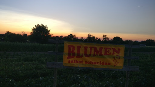 Blumenverkauf Eichenauer - Thumbnail