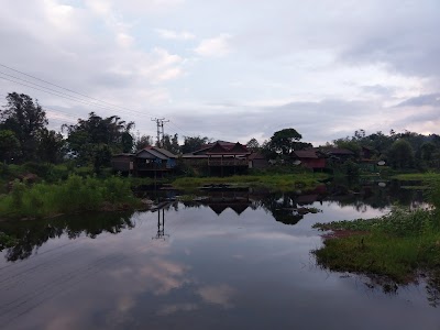 Photos of Savanna Gh