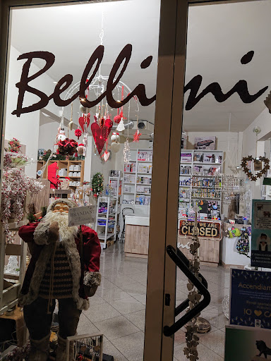 Bellini Ermes - Visual