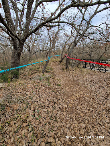 Bosco di Ruvo "Scoparella"
