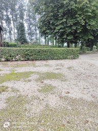 Photo n°9 de Multi services à Annezin (Service de nettoyage et d'entretien)
