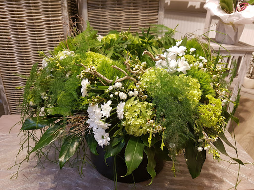 Blumen Götzfried - Thumbnail