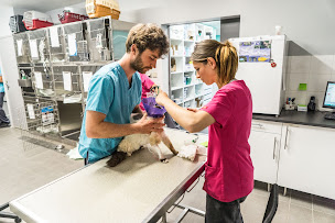 Photo n°27 de Centre de référé et d'urgence vétérinaire Sainte-Anne à Sorgues (Urgences vétérinaires)