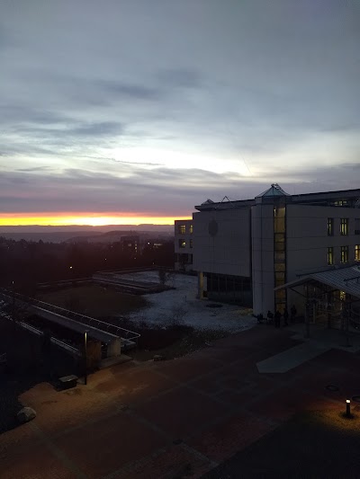 BG Klinik Tübingen