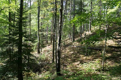 Photos of Sturgeon River Gorge Wilderness