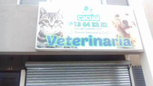 Clinica Veterinaria CACUGI - Thumbnail