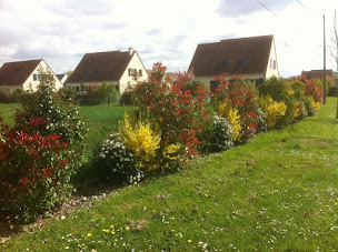 Photo n°7 de Pascal Fournier SAS à Saint-Denis-en-Val (Paysagiste)
