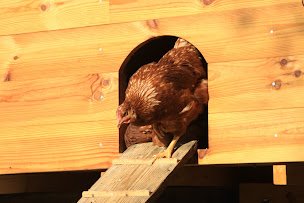 Photo n°31 de Ferme de Bêcheron à Azé (Fabricant de fromage)