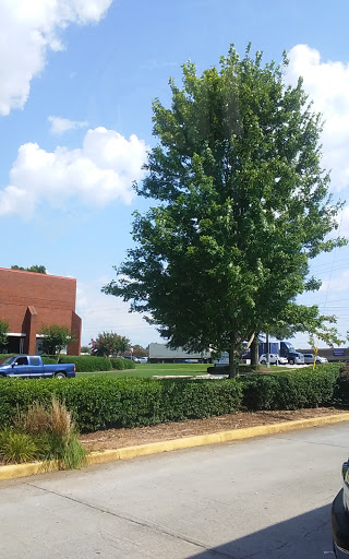 South Cobb High School - Thumbnail